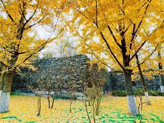 -北京明城墙遗址公园