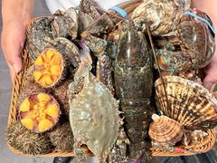 -连鹭海鲜·海肠捞饭·海胆饭(星海店)