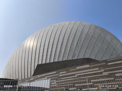 -野狸岛
