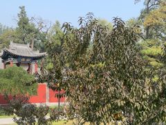 -晋祠公园