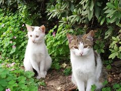 -辛亥革命博物院北区