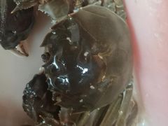 -喜洋洋蟹庄(阳澄湖店)