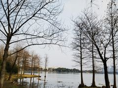 -高子水居