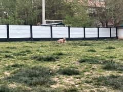 -素满香·素食自助餐(西安·民乐园店)