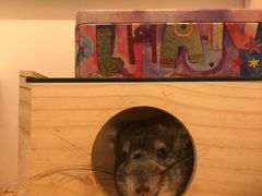 -龙猫仔乐园(惠福东路店)