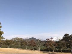 -龙头岩(Dragon Head Rock)