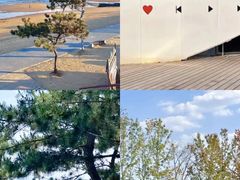 -日照灯塔风景区