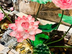 -老牌坊云南鱼豆花火锅(爱建店)