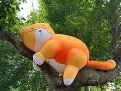 -西安电影制片厂