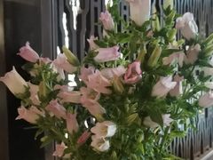 -南堂館川菜文化餐厅(天府店)