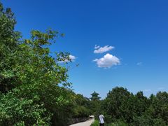 -北京西山国家森林公园