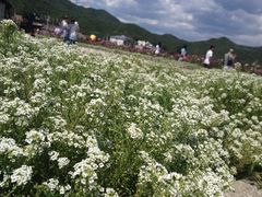 -乌龙峡谷景区