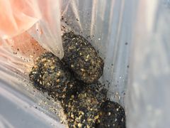 -叶氏麻糍(鼓浪屿店)