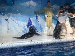 -成都浩海立方海洋公园