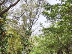 -滴水岩森林公园