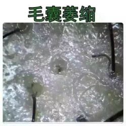 -柯琳造型