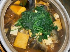 鸿运天目湖鱼头-香阁餐厅·常州菜·常州菜代表品牌(新北奥体店)