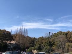 -蜀冈西峰生态公园