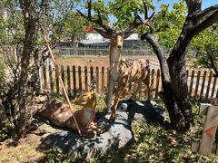 -丽泽山庄·生态怀柔菜·虹鳟鱼(红螺寺店)
