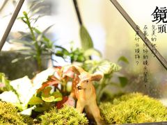 iphone_upload_pic-良友书坊(安徽路店)