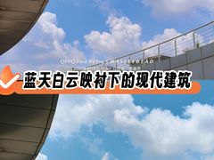 -九龙湖公园