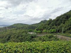 -火炉山森林公园