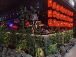 -莫莉幻想儿童乐园(北京天通苑华联店)