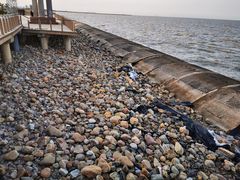 -东疆建设开发纪念公园