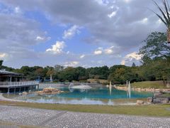 -上海月湖雕塑公园
