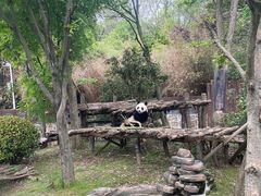 -扬州市茱萸湾风景区