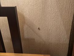 -秦皇岛阿尔卡迪亚滨海度假酒店