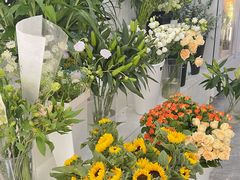 -淘花源花艺鲜花店 开业花篮 绿植(南部商务区店)