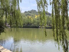 -南翠屏公园