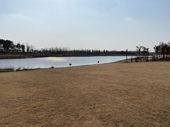 -春花秋色城市公园