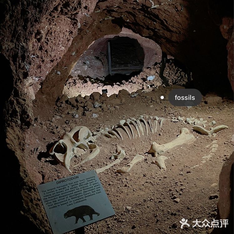 【悉尼周边】Dubbo打卡景点✈️飞行展和⛰️洞穴