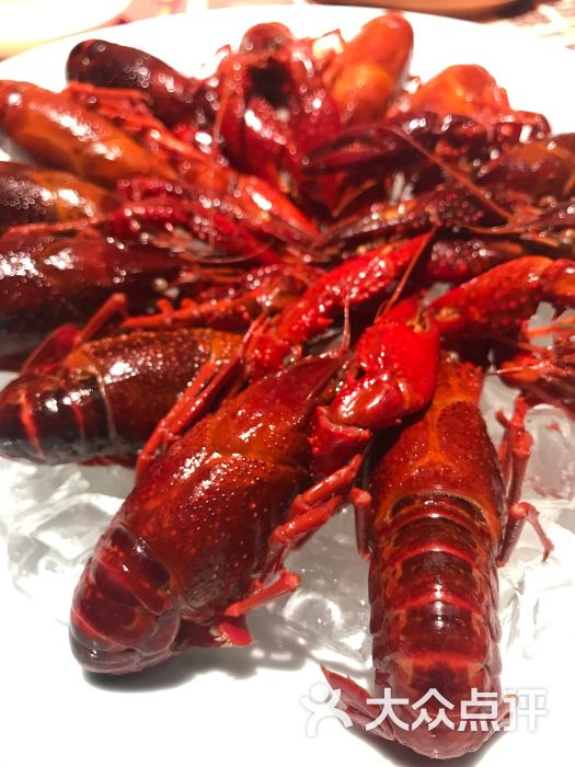 山泉盐水小龙虾