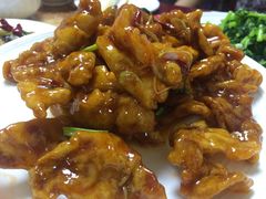 -林之六八·6886大连老菜馆