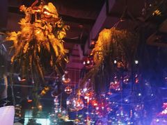 -胡桃里乐队酒馆(大庆店)