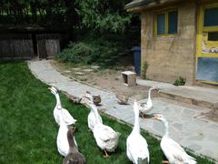 -北京宽沟会议中心