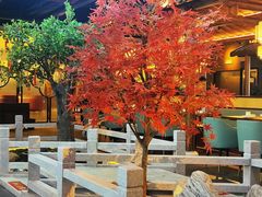 -三凤酒家·百年无锡菜(清扬茂业店)