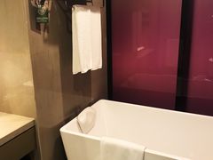 -南京禄口机场雅高铂尔曼大酒店