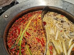 -钢管厂五区小郡肝火锅串串香(总店)