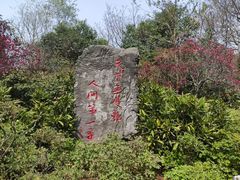 -洛阳市牡丹公园