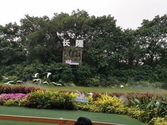 -广州长隆飞鸟乐园