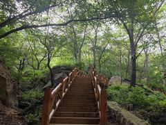 -大岭沟猕猴桃谷风景区