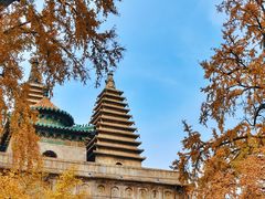 景点-北京石刻艺术博物馆