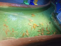 -常州海昌海洋探索馆
