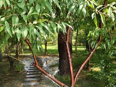 -迎泽公园