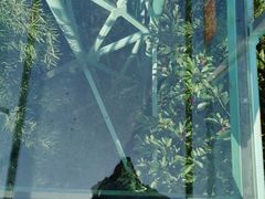 -陶祖圣境风景区