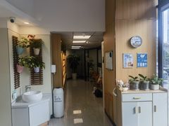 -派联宠物医院·24h·CT·异宠